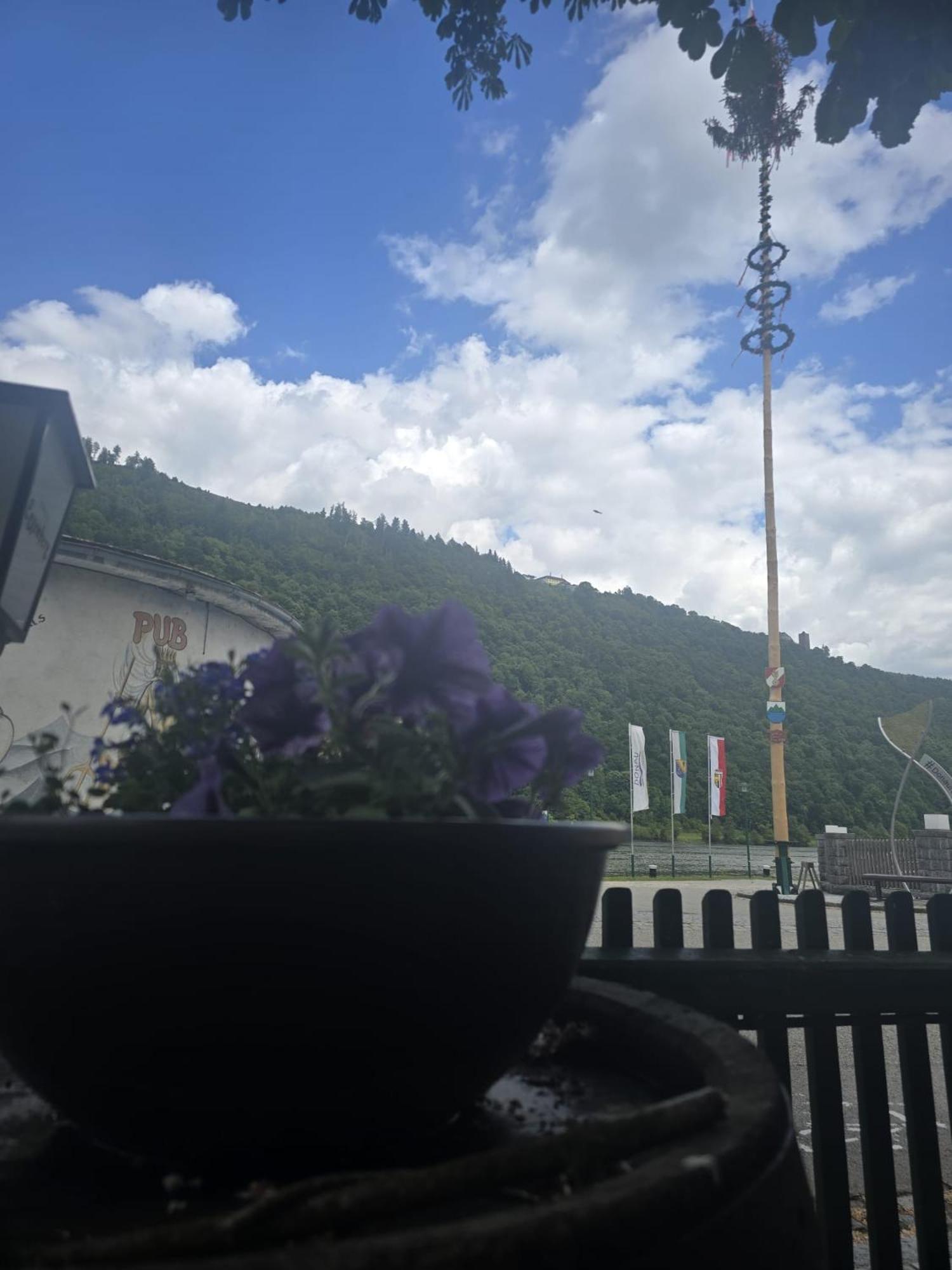 Gasthof Zum Schiffmeister Wesenufer Luaran gambar