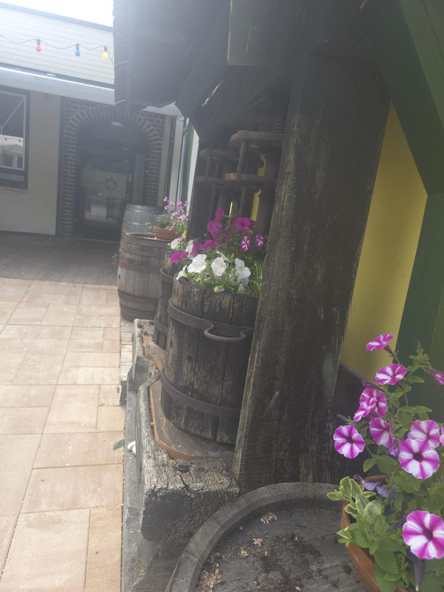 Gasthof Zum Schiffmeister Wesenufer Luaran gambar