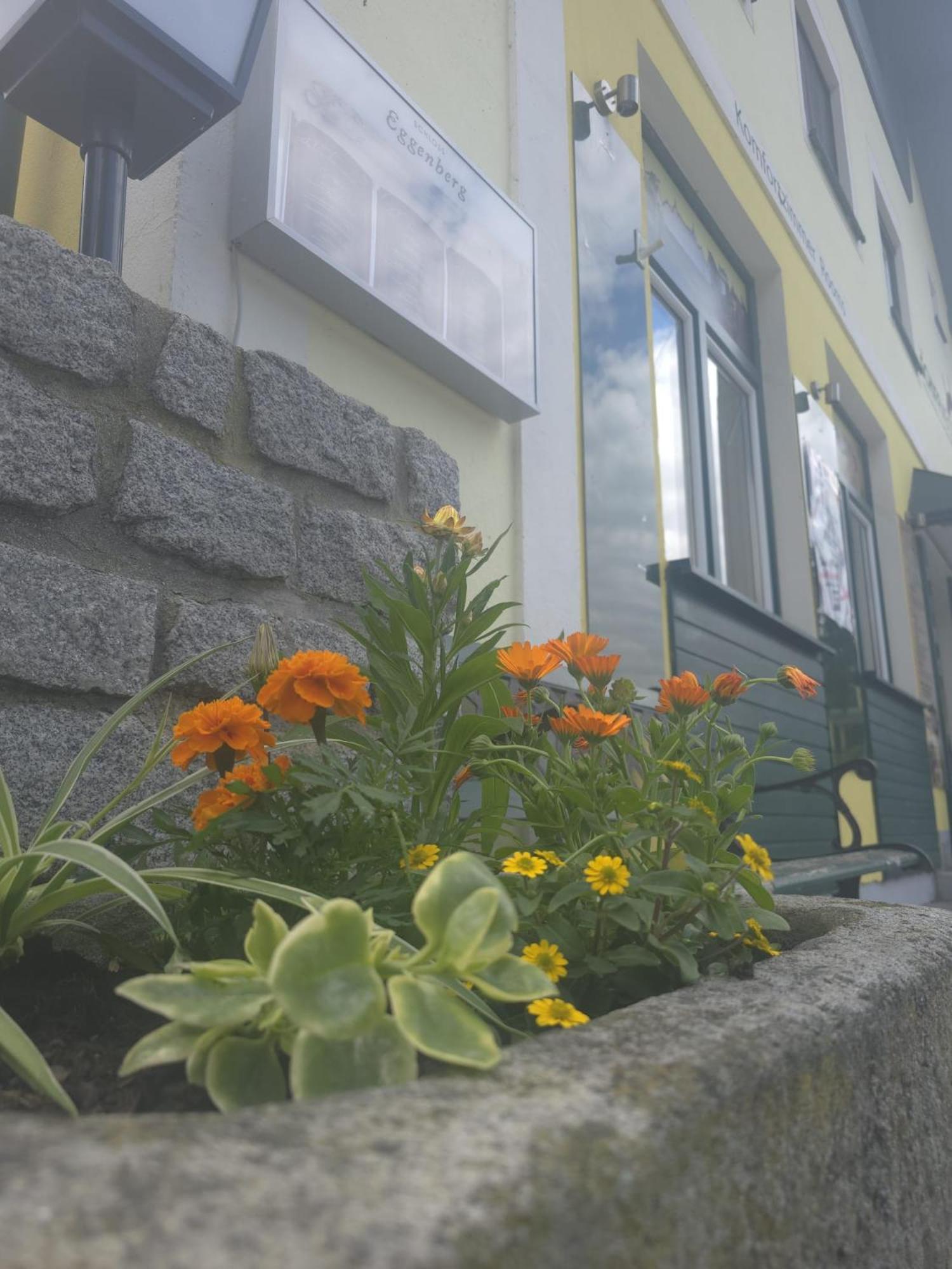 Gasthof Zum Schiffmeister Wesenufer Luaran gambar